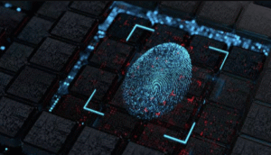 Understanding the Basics of Digital Identity Protection
