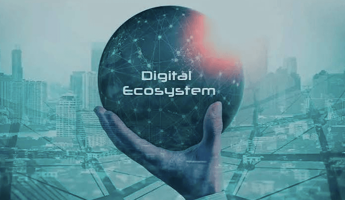 Understanding the Basics of Digital Ecosystems